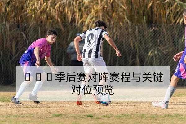 意甲球队伤病名单与关键球员复出时间动态